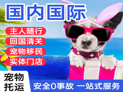 吕梁机场快递国际宠物托运 【国